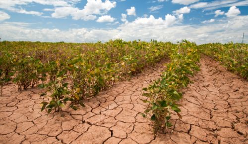 Drought Threatens More than Half of the Earth’s Population in Just a Quarter of a Century!