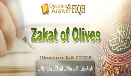 Ameer&#039;s Q &amp; A: Zakat of Olives