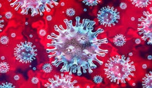 Question and Answer: The Ramifications of the Coronavirus