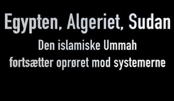 Dänemark: Politisches Seminar „Ägypten, Algerien, Sudan – islamische Umma revoltiert weiter gegen die Regime!“