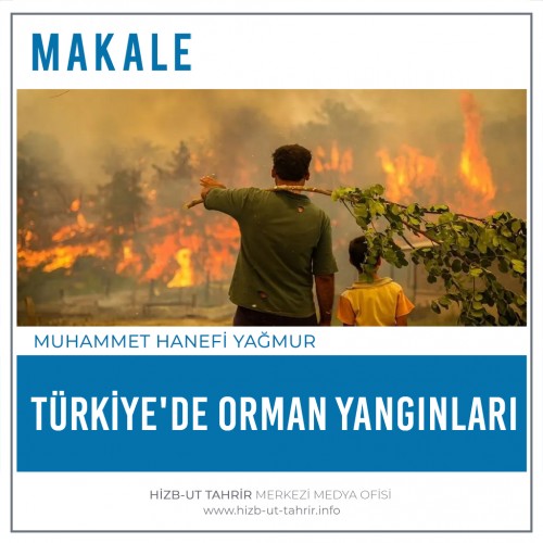 Türkiye&#039;de Orman Yangınları